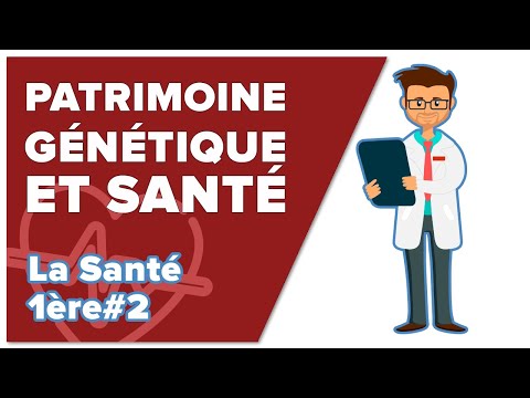 Patrimoine Génétique et Santé - SVT - SANTE 1ère spé #2 - Mathrix