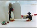 Pingu The Chef
