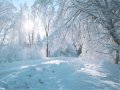 Brad Paisley - Winter Wonderland