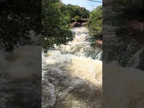 Candeias do Jamari - Rondônia 🇧🇷