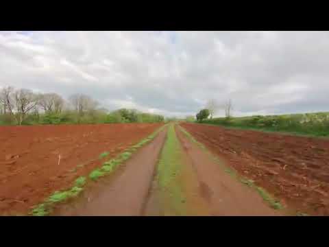 Politisk grine skyde ankomst 1005131