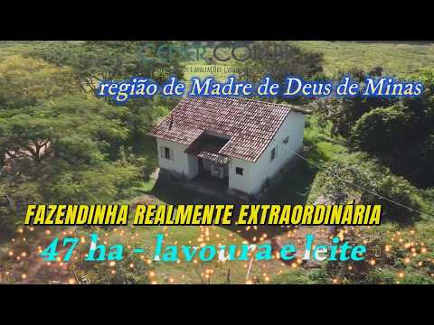 Cener Imóveis 3036 Extraordinária Fazedinha de 47 ha por 1 900 mil reg  Madre de Deus MG