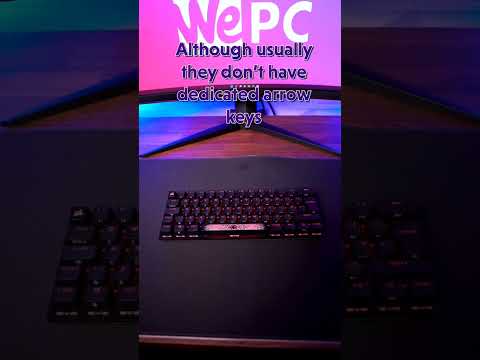 Which Keyboard Size Should You Use?