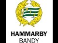 BANDY SM-FINAL 2013 :HAMMARBY-SANDVIKEN ...