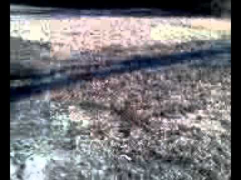 Aftermath of Bonfire