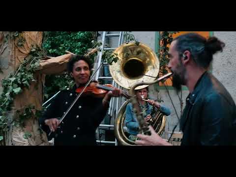 AraWa L'Habit du Chat