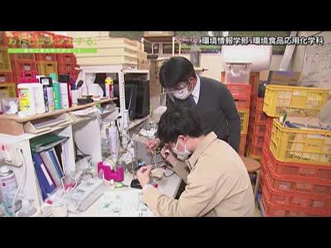 わたしはシンカする。 環境情報学部 環境食品応用化学科