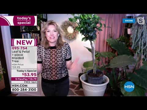 HSN | Ready, Set, Grow! Featuring Leaf & Petal Designs Anniversary 03.12.2021 - 06 AM