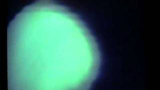 Spiritualized - Shine a Light