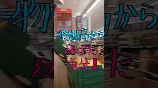 イギリス生活物価高から逃げた気分の買い物‼️