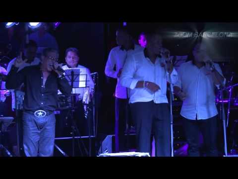 PEDRO ARROYO - TODO ME HUELE A TI Gira Europa 2014