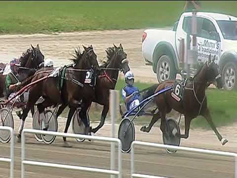 Trotto 06/06/2019 - 2ª corsa