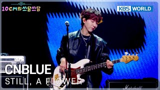 Download lagu CNBLUE - Still, a Flower (The Seasons) | KBS WORLD TV 260123 mp3