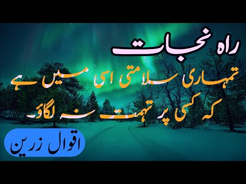 Heart Touching Aqwal e Zareen Urdu Raah e Najat|Islamic Quotes|Videos|Alfaz ka kamal