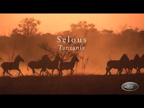 The African Dawn Program, by African Hunting Gazette.