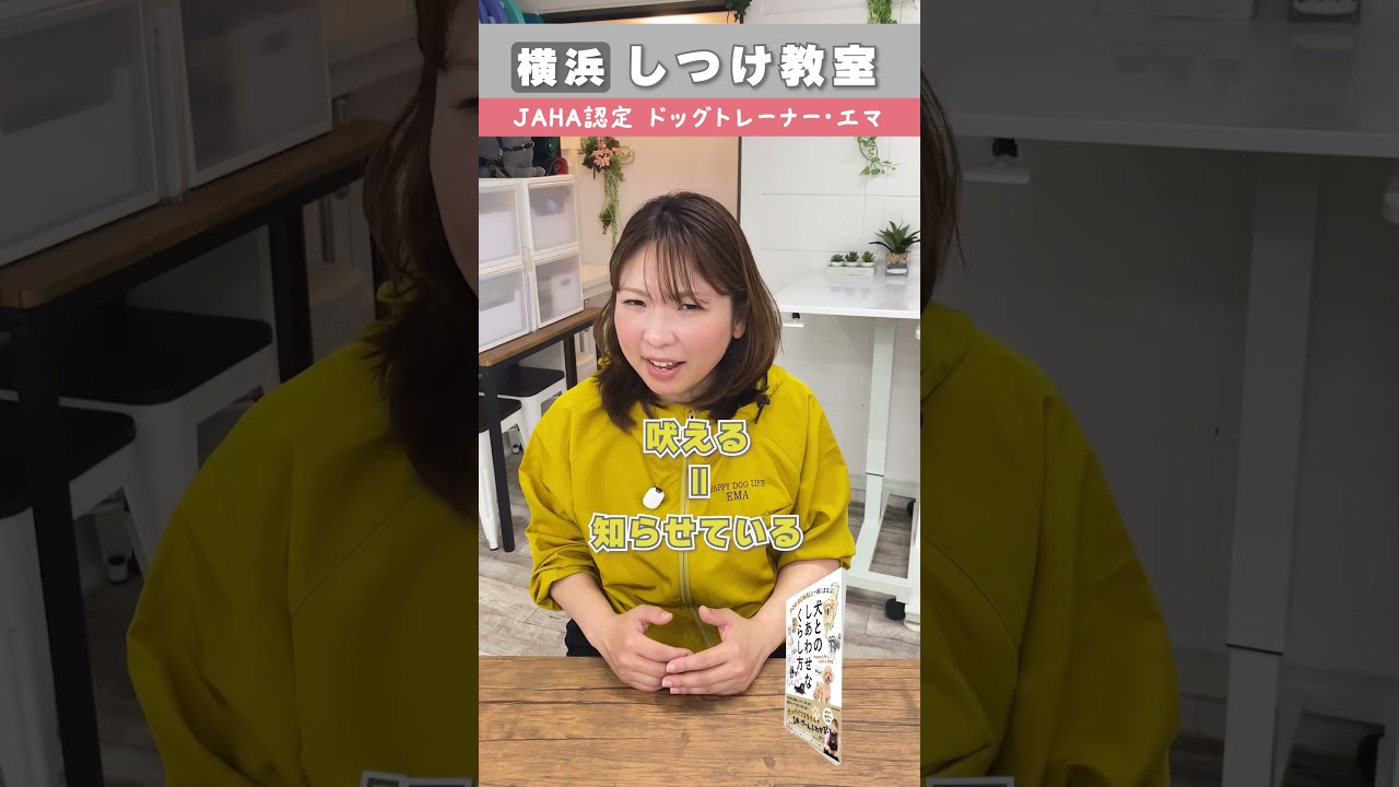 【犬との生活で必要な５つの知識】①犬の特性 #横浜しつけ教室#犬しつけ #犬とのしあわせなくらし方