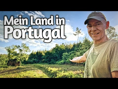 Wild Spirit Land - Das ist mein Land in Portugal - So habe ich mein Grundstück in Portugal gefunden