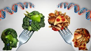 La dieta basada en tu ADN: Nutrigenética y Nutrigenómica.🍕🍏¿Lo que comes cambia tu ADN?