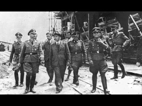 Heinrich Himmler:The Rise and Fall of Hitler’s Third Reichsführer SS  MP4