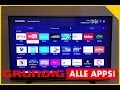 Video for smart iptv grundig