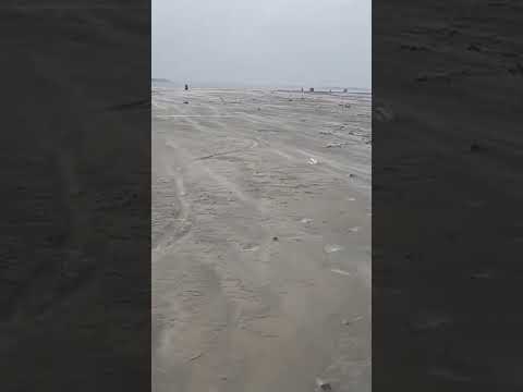 #shorts #beach #sand