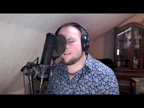 Flickan o Kråkan (Mikael Wiehe Cover)