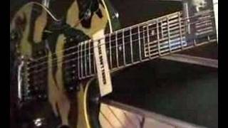 Video thumbnail for ESP Will Adler Signature guitar by Trashgreen