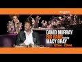 DAVID MURRAY BIG BAND featuring MACY GRAY : BLUE NOTE TOKYO 2013 trailer