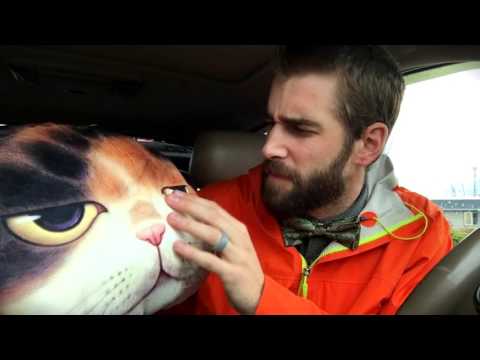 download lagu mp3 mp4 3d Cat Pillow, download lagu 3d Cat Pillow gratis, unduh video klip 3d Cat Pillow