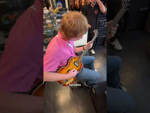 Procurando um Viola Bass em SP