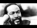 Marvin Gaye - Life's a Game of Give and Take