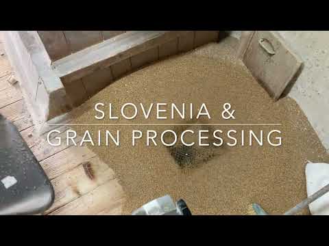 Mlin Košak & Grain Processing