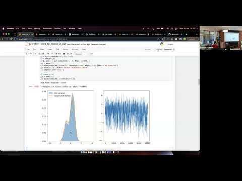 SLT Summit 2023 - Intro to MCMC in SLT