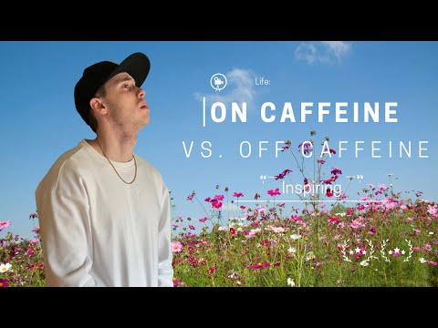 Life: On Caffeine vs Off Caffeine