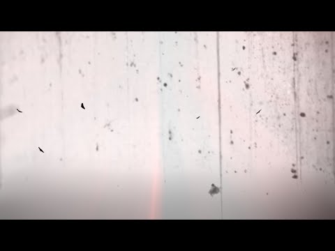 Mahler/Fondermann »Schattenvogel«