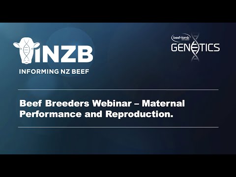 Beef Breeders Webinar