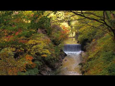 Narukokyo / Miyagi in Autumn