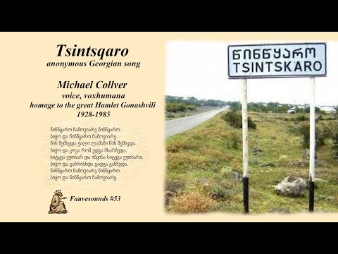 FS53 Georgian Tsintskaro