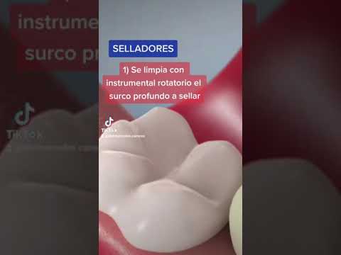 Roxana Barra-11