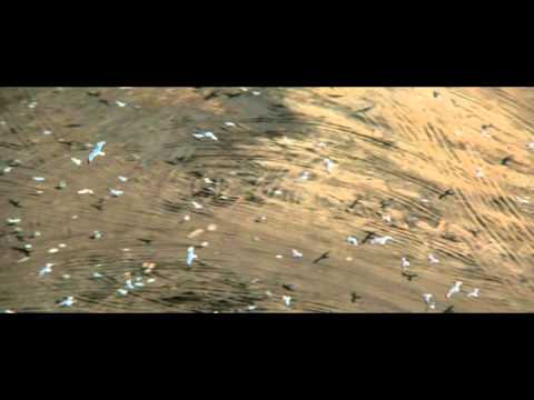 Vorschaubild für Die Möwe Jonathan Trailer