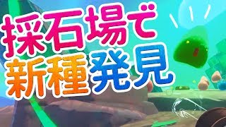 インディゴ採石場＆ラジスライム #22【Slime Rancher】