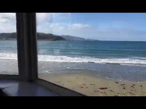 Lyall Bay Wellington New Zealand #shorts #wellington #newzealand