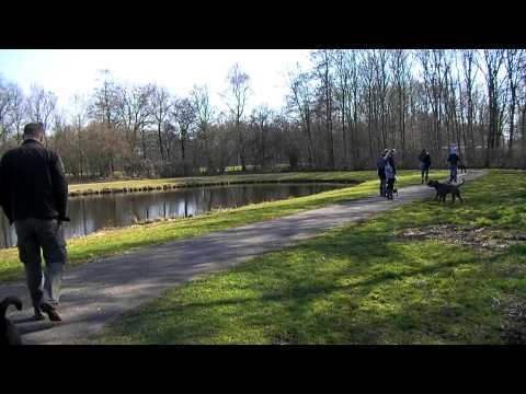 Wandeling Groene Ster 2