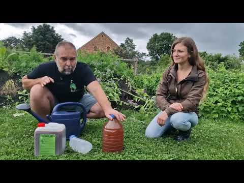 Superdünger Urin + TriaTerra-aktiv geruchlos –  Marko erklärt wie es geht.