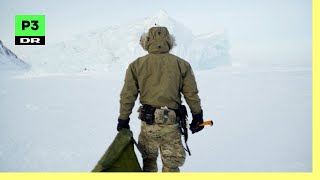 Hvorfor opererer danske specialstyrker i Grønland?