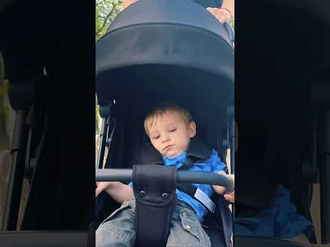 Миниатюра изображения товара Детская прогулочная коляска Bubago Vox BG160-1 (черный)