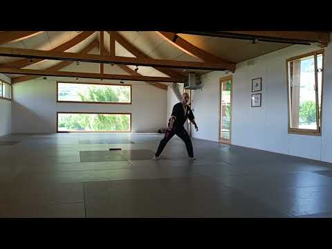 Nunchaku Coupe NIA 2025 - Swiss Dojo Saillon - Freestyle Quentin Besson