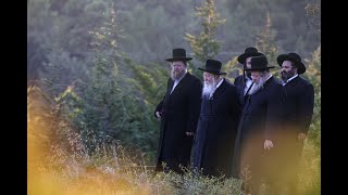 האדמו''ר מגור בנאות דשא בצפת | Gerer Rebbe in Safed