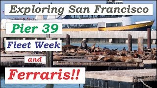 Exploring San Francisco with Pier 39, Italian Heritage Parade, Chinatown, fleet week and Ferraris!