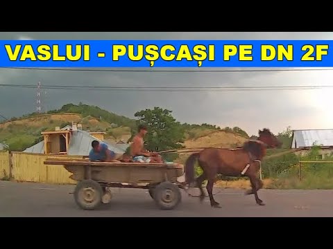 Ruta Vaslui - Puscasi - Laza prin DN 2F ruta video part.1